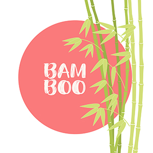 bamboo.jpg