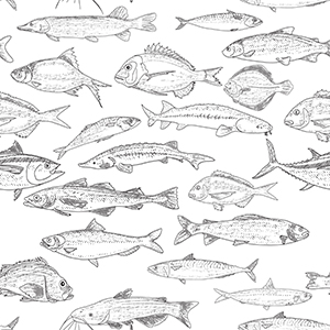 fish-pattern-05-01.jpg