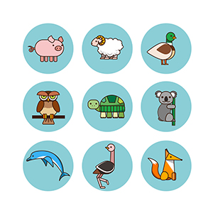 icon-animal.jpg