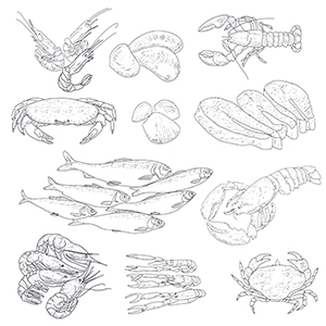 krab-set_07.jpg