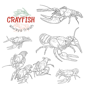 krabfish2_set_03.jpg